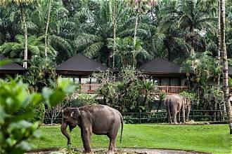 Ubud στον δικό σου ρυθμό